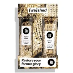 Shed Former Glory Reconstructing Damage Repair Gift Set